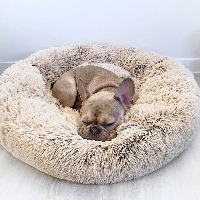 Calming Dog Bed Australia | Anti Anxiety Dog Bed